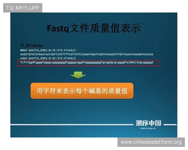 gg扑克游戏官网最新版本下载地址及安全保障指南,帮助玩家轻松畅玩无忧 gg扑克游戏官网最新版本下载地址及安全保障指南,帮助玩家轻松畅玩无忧